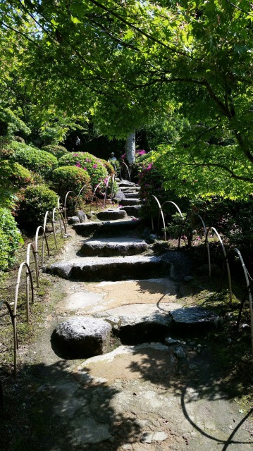 新緑の九年庵